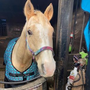 Meet your Posher, Debra